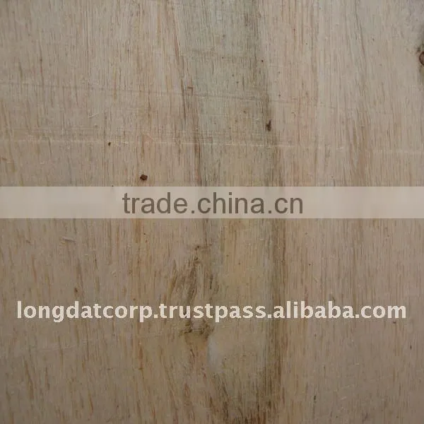 Eucalyptus Veneer photo-3