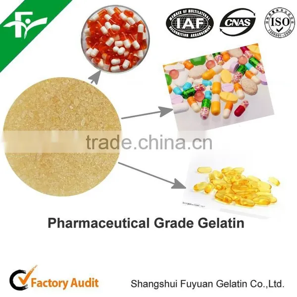 Pharmaceutical Gelatin 250 Bloom for Hard Capsule photo-4