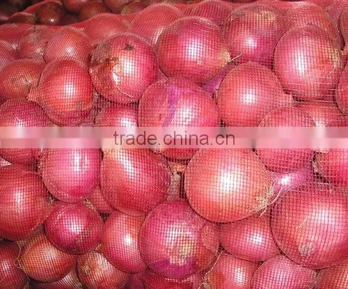 Fresh Red Onion 10kg Mesh Bag for Sales photo-3