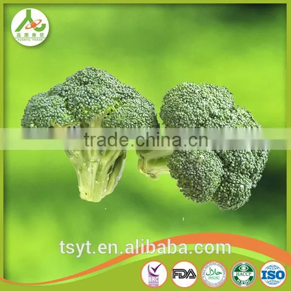 2017 China Iqf Frozen Broccoli Fresh Green Broccoli Frozen Broccoli Broccoli Powder photo-2