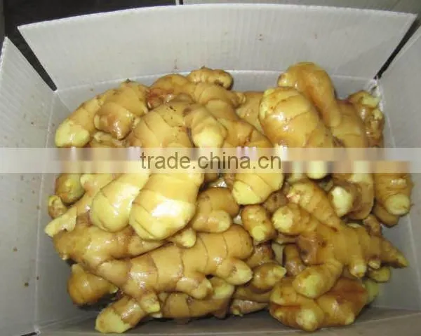 2015 New Crop Fresh Ginger, Air Dry Fresh Ginger, Chinese Fresh Ginger Price photo-6