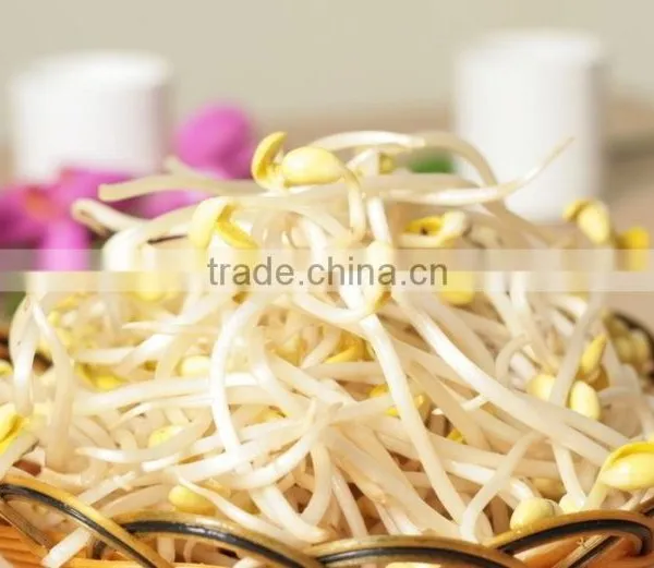 Bean Sprout Making Machine for Family photo-2