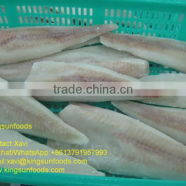 Wholesale New Frozen IQF Alaska Pollock Fish Fillet With Good Price photo-3