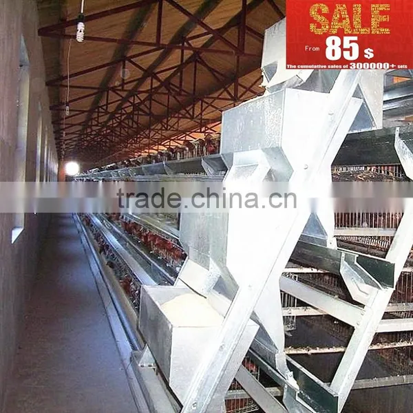 INNAER Factory Supply All Kinds Chicken Coops for Poultry Chicken Farm photo-3