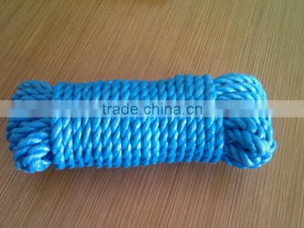 Sea Grass Rope photo-3
