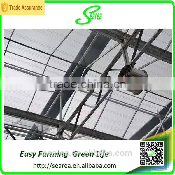 2015 China Low Cost Galvanized Pipe photo-6