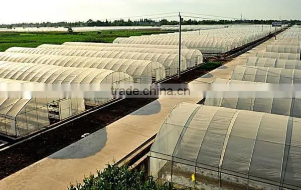 Factory Price Plastic Angricultural Greenhouses For Sale photo-5