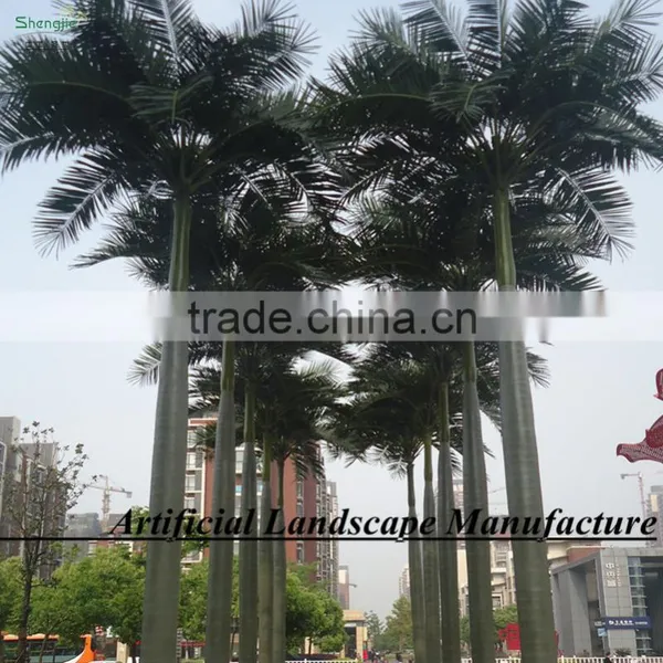 Cheap Palm Tree Fiberglass Palm Tree Decorative Indoor Palm Tree photo-6