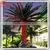 Wholesale Artificial Outdoor Palm Trees Lowes photo-2