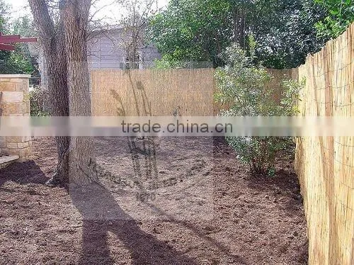 Reed Fence photo-4
