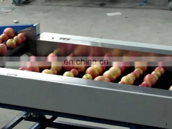 Customizable  fruit sorting machine apple fruit sorting machine pomelo sorting machine