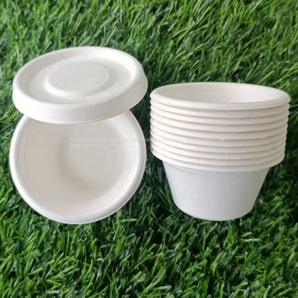 2oz 50ml Biodegradable Compostable Disposable Sugarcane Bagasse Party Supplier Paper Cup
