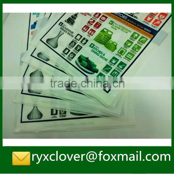 High Quality PP Stationery Foctory Supplier Eco-friendly a4 Plastic L Shape a4 File Folder photo-5