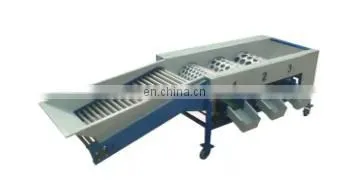 Two Types to Choose Blueberry Sorting Machine/Blueberry Sorter/Blueberry Grading Machine photo-4