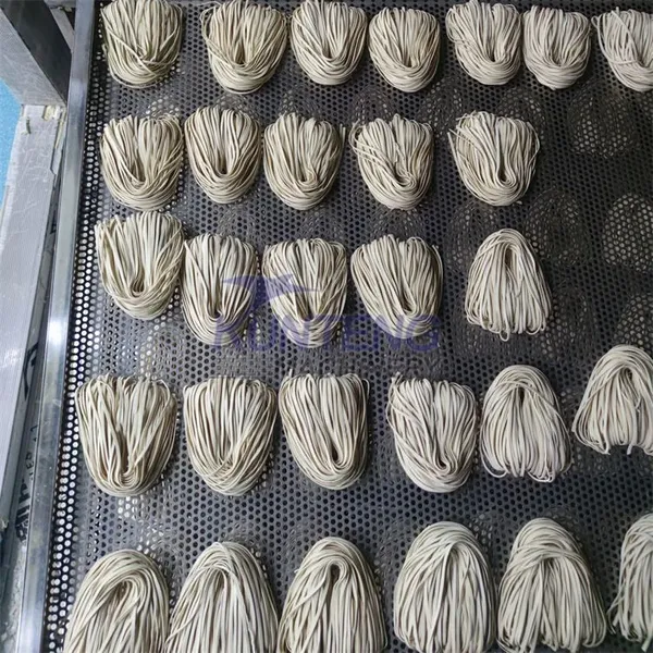 Commercial Dryer of Pasta Industrial Food Dryer Static Pasta Dryer Drier Drying Machine photo-4