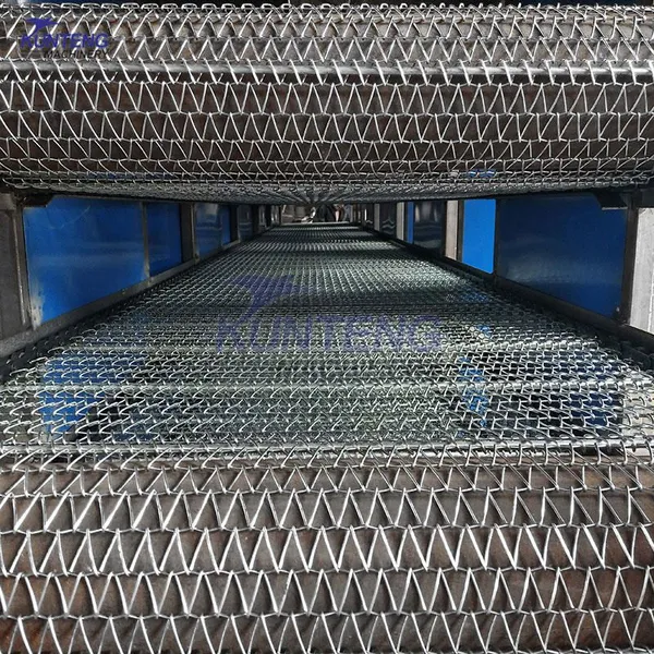 Continuous Mesh Belt Ginger Dehydrator Ginger Drying Machine Turmeric Dryer EPC photo-5