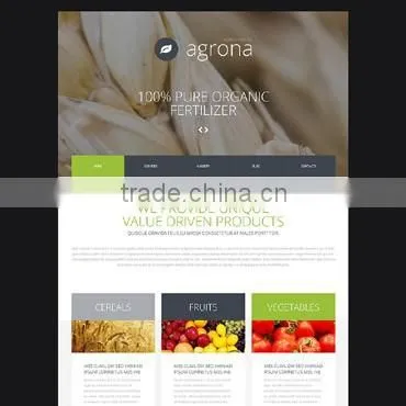 Cost Effective Web Design Services photo-4