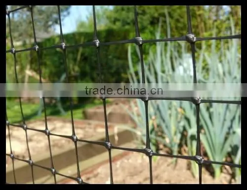 Widely Used Plastic Safety Netting/Screen /Nets Made From PP photo-4
