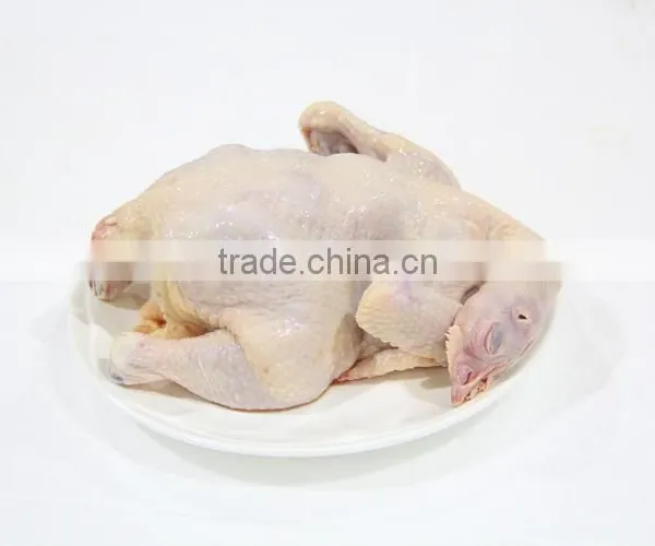 Halal Whole Chicken,grade AA