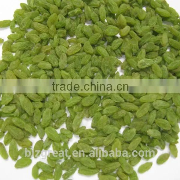 Air Dried AD Green Raisin With Factory Price photo-6
