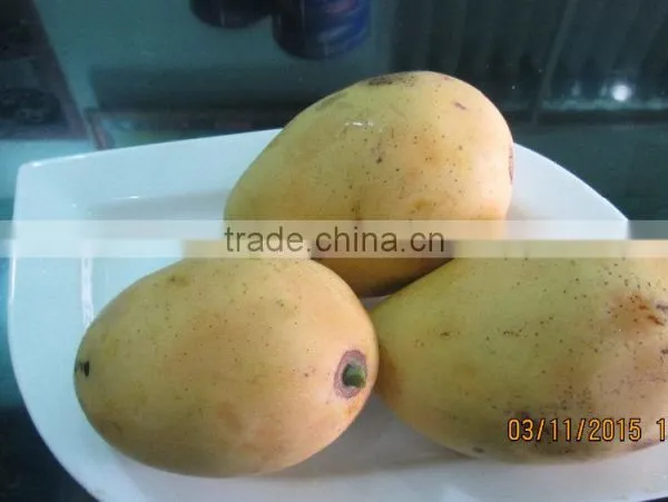 Frozen Mango