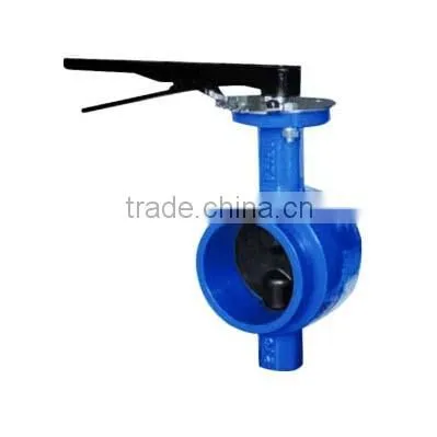 Butterfly Valve China Supplier photo-4