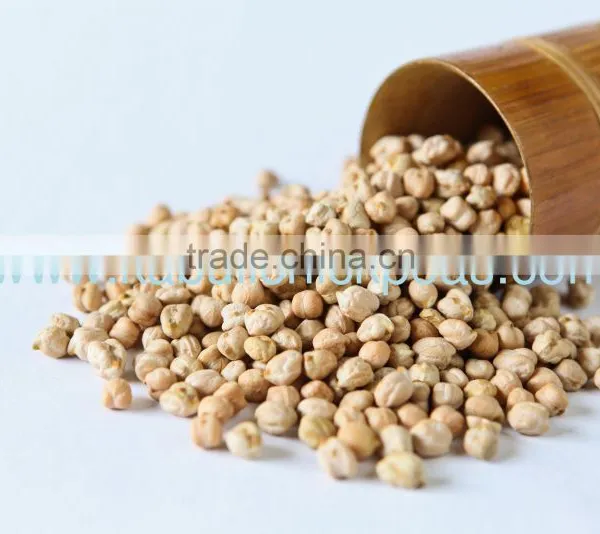 Protein Chickpeas Exporter