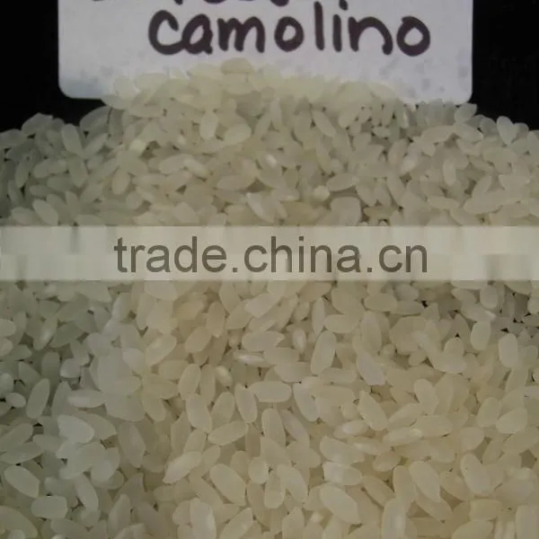 US Camolino Rice #1