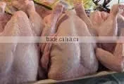 FRESH FROZEN CHICKEN photo-3