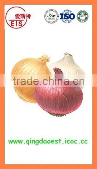Export Bulk China Fresh New Crop Red and Yellow Onion photo-6