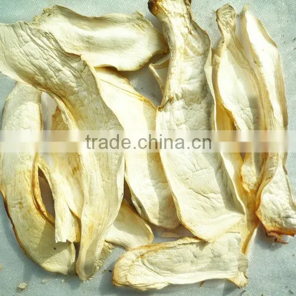 Dried sliced pleurotus eryngii mushroom best price