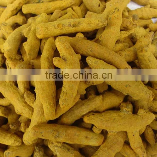 Dried Turmeric Exporters/Turmeric Curcumin photo-2
