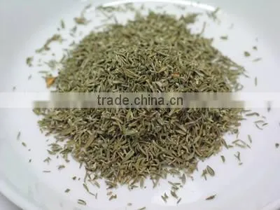 Thyme