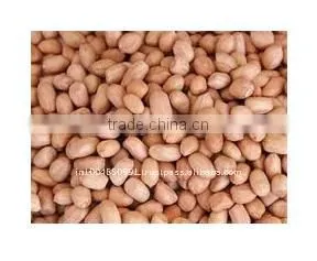 HOT SALE Peanut