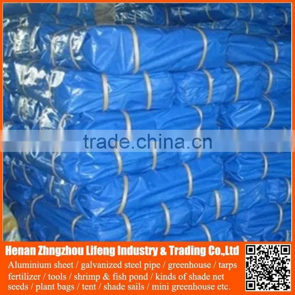 Chinese Factory Supply Plastic Hdpe Tarp for Tent Roofing Cover photo-2