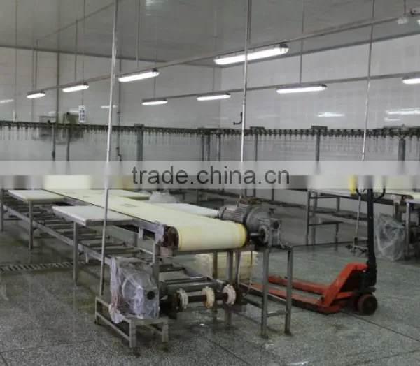 China Sell Good Quality Poultry Farm Used Chicken Slaughtering Equipment/broiler Slaughter Line 008618052092685 photo-2