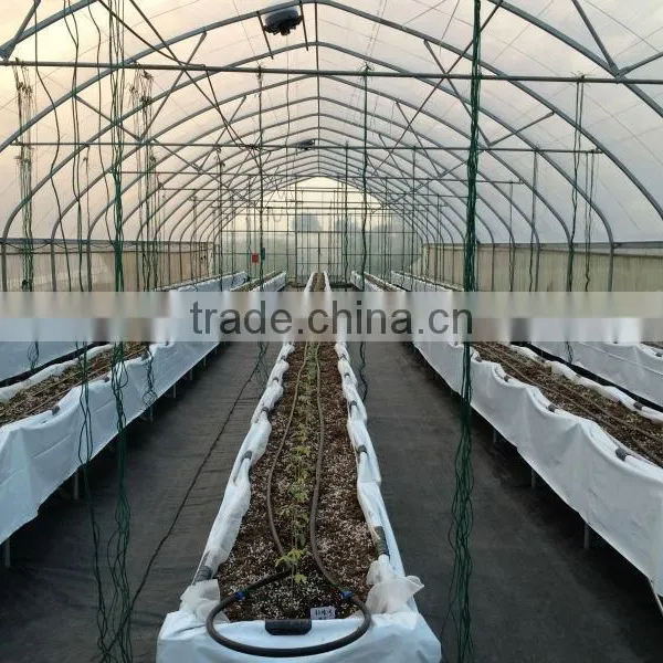 Polycarbonate Greenhouse Vegetable Seeds Greenhouse photo-2