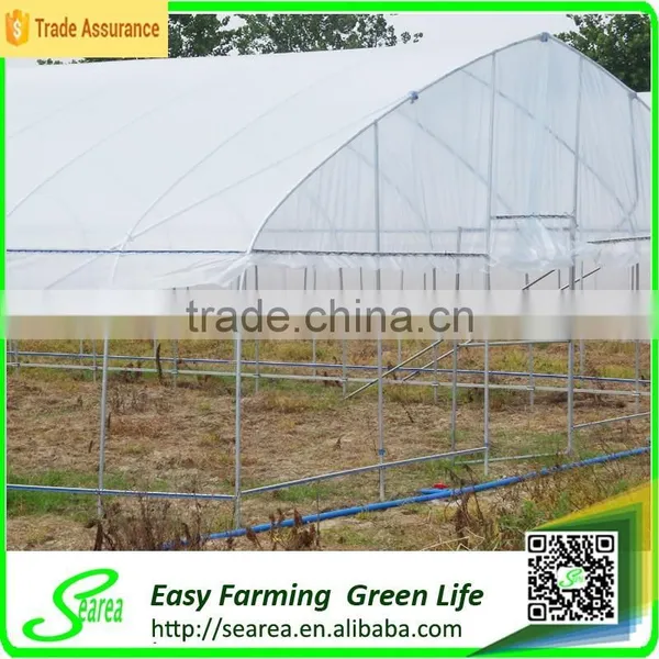 Quickly Delvery China Greenhouse for Commerical photo-3