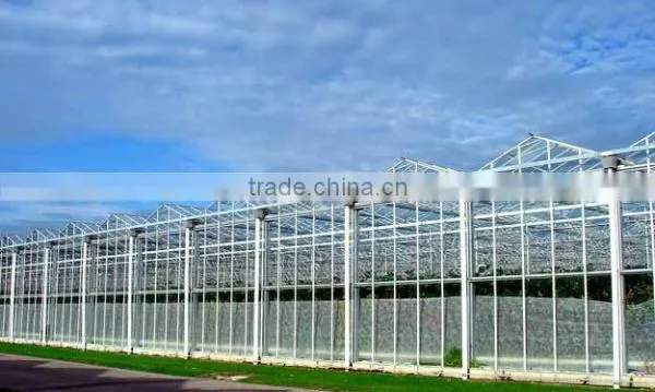 Glass Greenhouse-3 photo-2