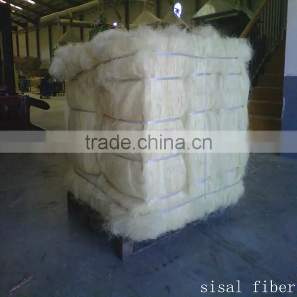 Gypsum Material 100% Rubber Fibre Natural Raw Bleached Textile uv ug Grade Sisal Fiber Price photo-3