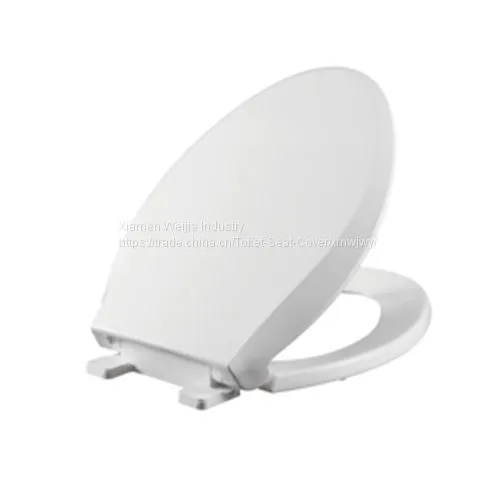 The Toilet Lid Thickens and the Toilet Seat Covers the Old Toilet Lid photo-4