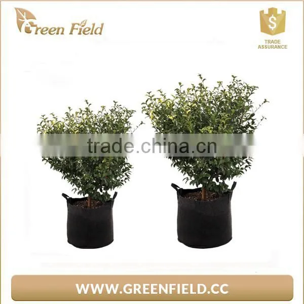 Green Field Best Selling Durable Using Wholesale Garden Felt Grow Bags photo-2
