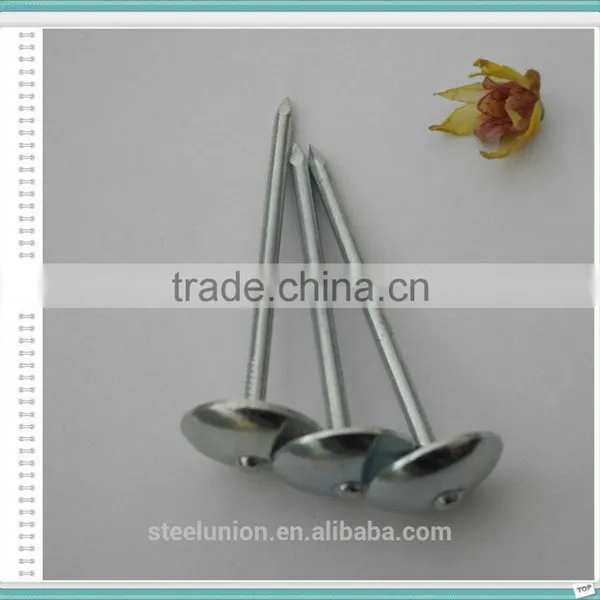 Galvanzied Roofing Nails /umbrella Head Roofing Nails photo-5