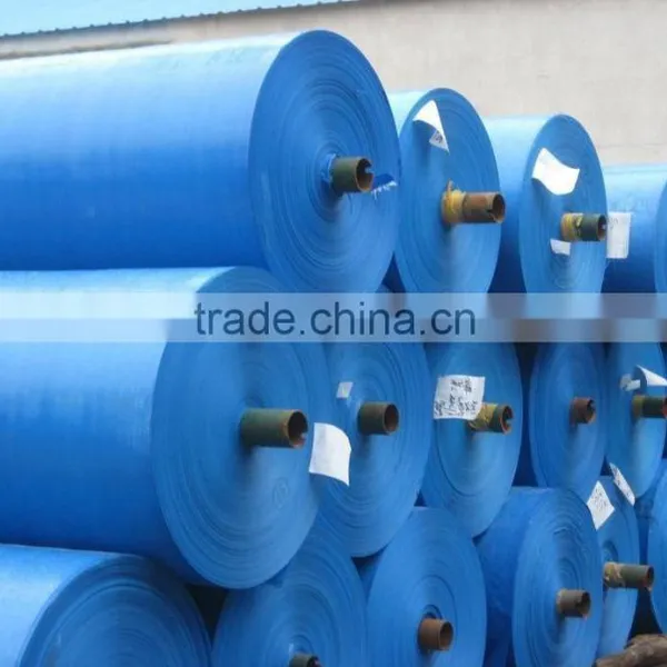 2015 HOT SALE Factory Price Tarpaulin Rolls For Sale, Tarp Camping, Tarpaulin For Sale photo-2