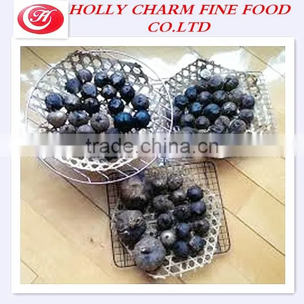 Import Black Garlic From China,black Garlic Manufacturer photo-6