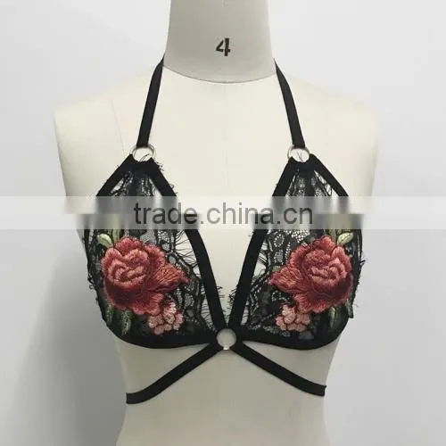 2017 Ladies Latest Design With Lace Bra photo-3