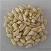 Sell Pine Nut Kernel