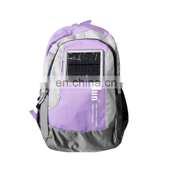 2017 Popular Solar Refrigerator Bag in Guangzhou