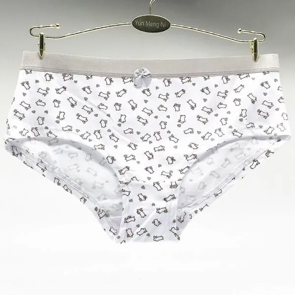 Yun Meng Ni Sexy Underwear Fancy Cartoon Print Girls Briefs Good Elasticity Colorful Waistband Sexy Cotton Panty photo-3