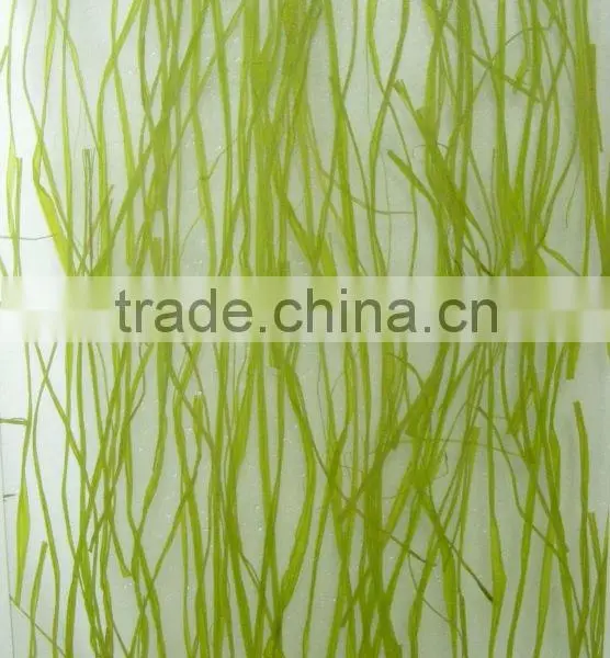 Polycarbonate Sheet